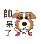 Jiro God dog（個別スタンプ：29）