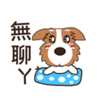 Jiro God dog（個別スタンプ：33）