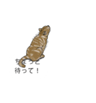 吹き出しに群がる猫（個別スタンプ：27）