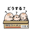 マンチカちゃんの日常（個別スタンプ：22）