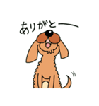 愛犬むぎ（個別スタンプ：13）