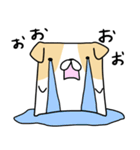 ふとん犬（個別スタンプ：11）