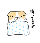 ふとん犬（個別スタンプ：26）