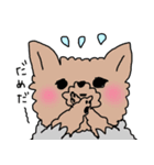 赤ちゃんとヨーキー（個別スタンプ：20）