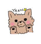 赤ちゃんとヨーキー（個別スタンプ：23）