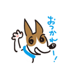 立ち耳 ジャック（個別スタンプ：4）