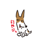 立ち耳 ジャック（個別スタンプ：12）