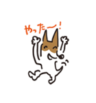 立ち耳 ジャック（個別スタンプ：14）