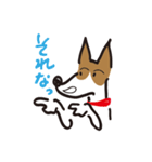 立ち耳 ジャック（個別スタンプ：15）