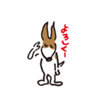 立ち耳 ジャック（個別スタンプ：16）