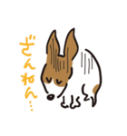 立ち耳 ジャック（個別スタンプ：18）