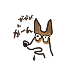 立ち耳 ジャック（個別スタンプ：22）