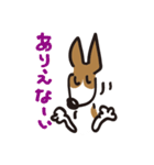 立ち耳 ジャック（個別スタンプ：31）
