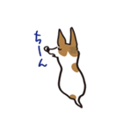 立ち耳 ジャック（個別スタンプ：36）