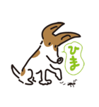 立ち耳 ジャック（個別スタンプ：37）