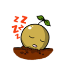 TANA-MAN（個別スタンプ：11）