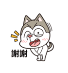 Stupid Husky Hachichi（個別スタンプ：2）