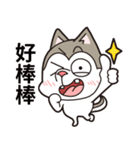 Stupid Husky Hachichi（個別スタンプ：9）