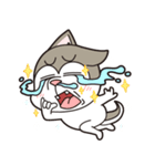 Stupid Husky Hachichi（個別スタンプ：11）