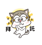 Stupid Husky Hachichi（個別スタンプ：13）