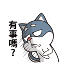 Stupid Husky Hachichi（個別スタンプ：32）