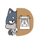 Stupid Husky Hachichi（個別スタンプ：37）