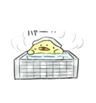 ひよこもり（個別スタンプ：27）