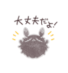 アンゴラうさぎのハーヴェイ（個別スタンプ：31）