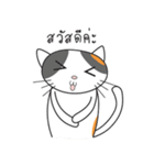 Laymee（個別スタンプ：8）