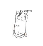 Laymee（個別スタンプ：13）