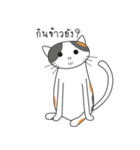 Laymee（個別スタンプ：14）