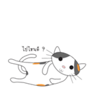 Laymee（個別スタンプ：19）
