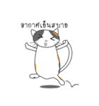 Laymee（個別スタンプ：23）