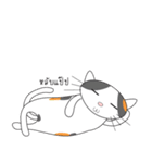 Laymee（個別スタンプ：31）
