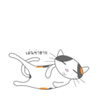 Laymee（個別スタンプ：33）