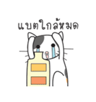 Laymee（個別スタンプ：36）