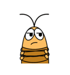 Cockroach Daily（個別スタンプ：17）