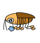 Cockroach Daily（個別スタンプ：25）