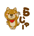 柴犬のわんころもち（個別スタンプ：3）