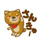 柴犬のわんころもち（個別スタンプ：13）