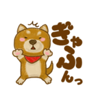 柴犬のわんころもち（個別スタンプ：19）