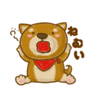 柴犬のわんころもち（個別スタンプ：21）