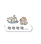 bobble cat message talk（個別スタンプ：14）