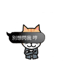 bobble cat message talk（個別スタンプ：34）