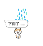 bobble cat message talk（個別スタンプ：35）