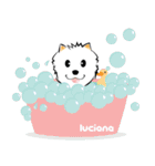 LucianaPom-EN（個別スタンプ：30）