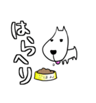 なぬいぬとクロネコ（個別スタンプ：13）