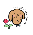 わんらぶ3（個別スタンプ：1）
