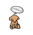 わんらぶ3（個別スタンプ：5）
