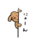 わんらぶ3（個別スタンプ：10）
